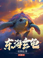 东海玳瑁龟